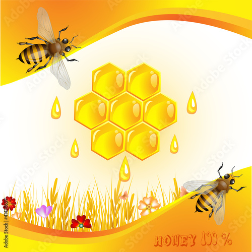 Floral background with honey and bees