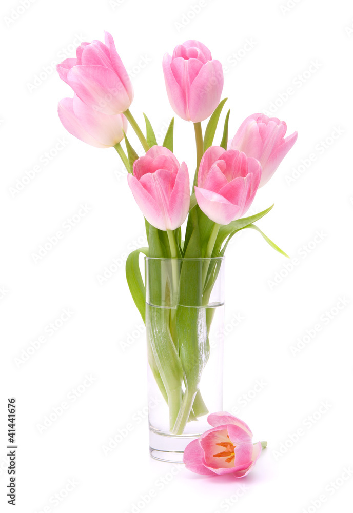 Pink tulips bouquet in vase isolated on white background Pink tulips bouquet in vase isolated on white background