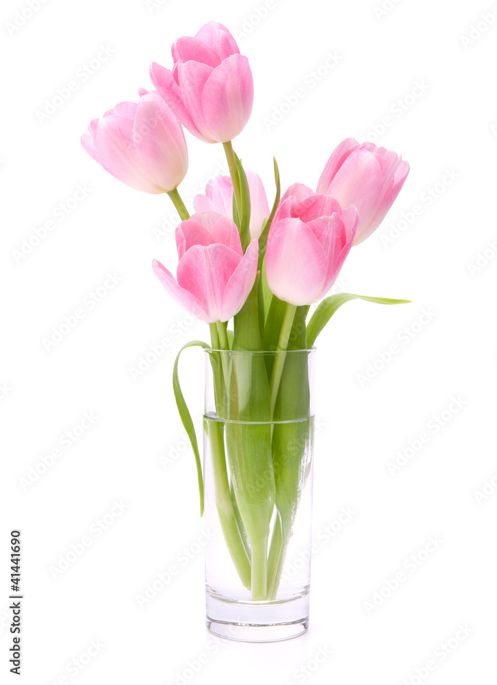 Pink tulips bouquet in vase isolated on white background Pink tulips bouquet in vase isolated on white background