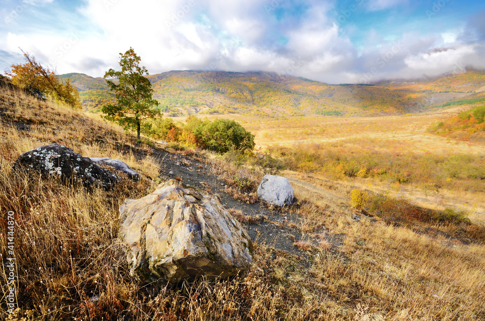Fototapeta premium Autumn landscape