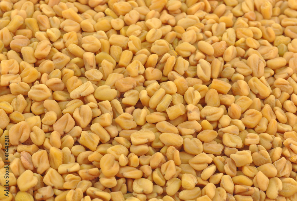 extreme close up of fenugreek seeds extreme close up of fenugreek seeds
