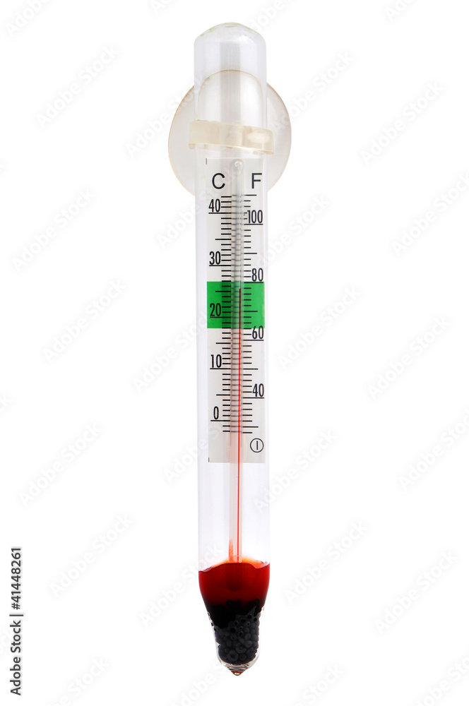 thermometer thermometer