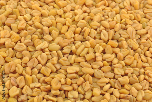 extreme close up of fenugreek seeds