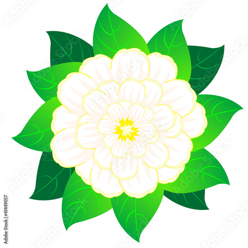 Beautiful vector flower with sheet