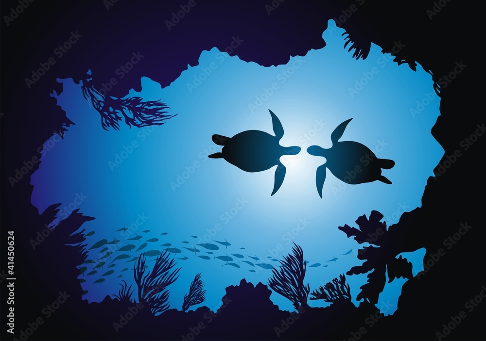 Naklejka premium Turtles