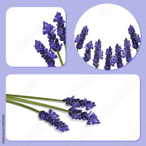 Fototapeta Naklejka Na Ścianę i Meble -  lavender background templates