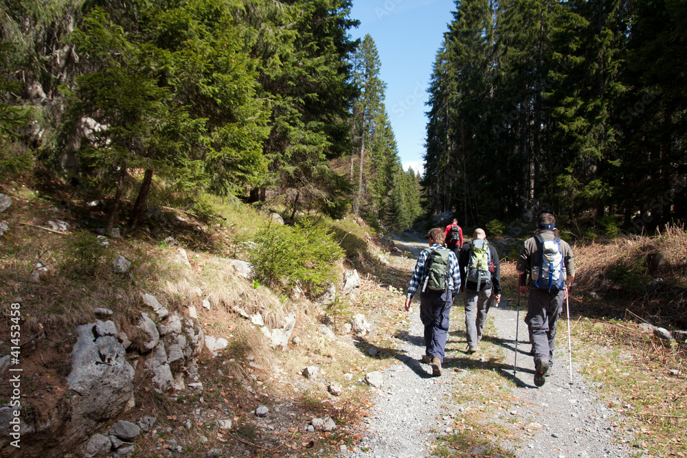 group mountaineers hiking in the forest group mountaineers hiking in the forest