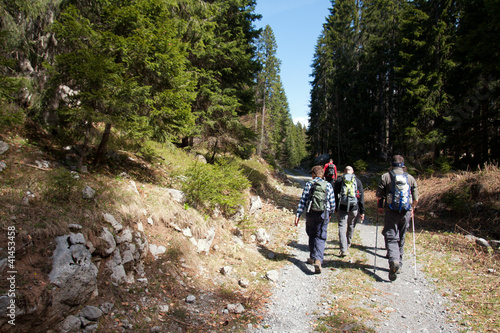 group mountaineers hiking in the forest