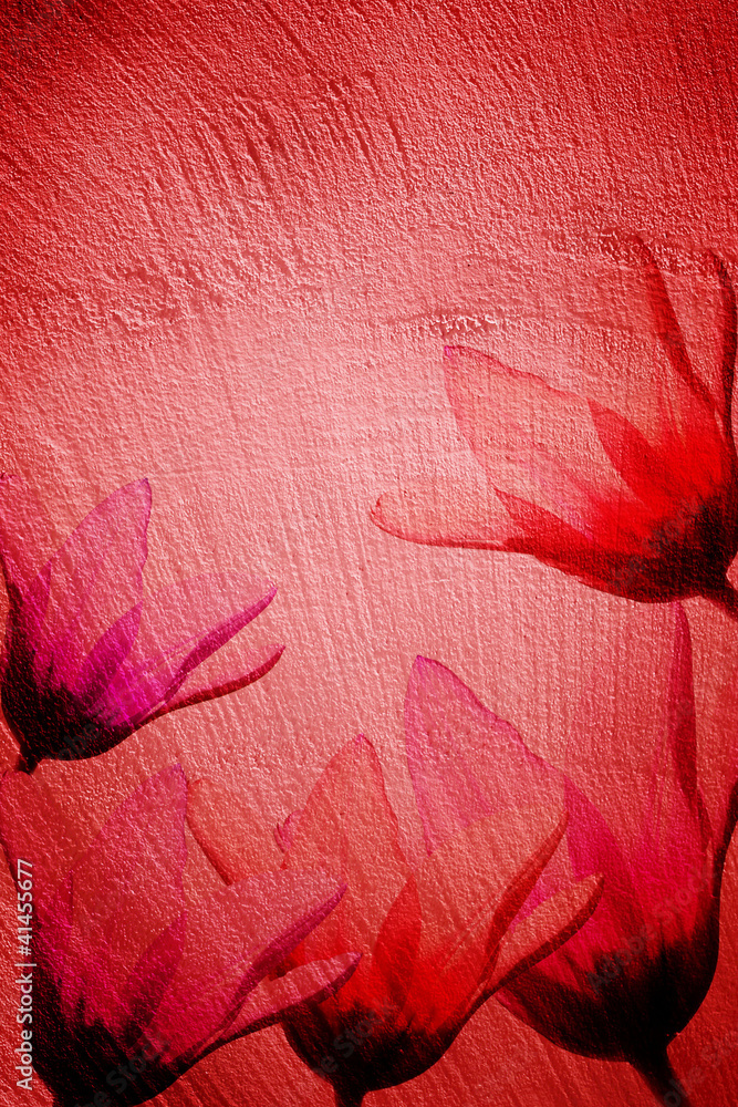 Obraz premium Grain red paint wall background and tulips
