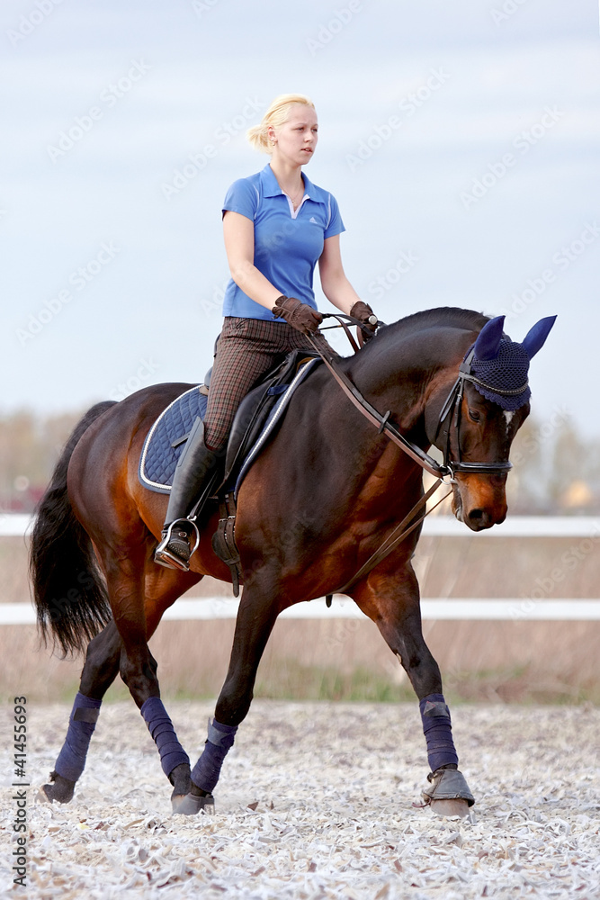 Fototapeta premium The horsewoman on a brown horse