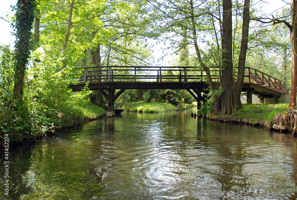 Landscape with wooden bridge in the Spree forest, Spreewald, Germany