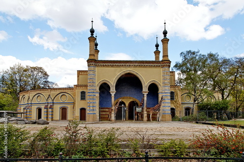 Enclos des girafes, Tiergarten, Berlin.