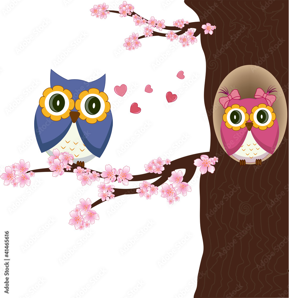Fototapeta premium Owls on the tree