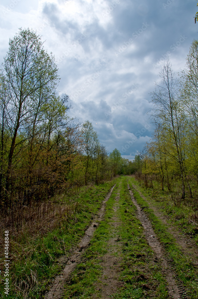 cloudy landscape cloudy landscape