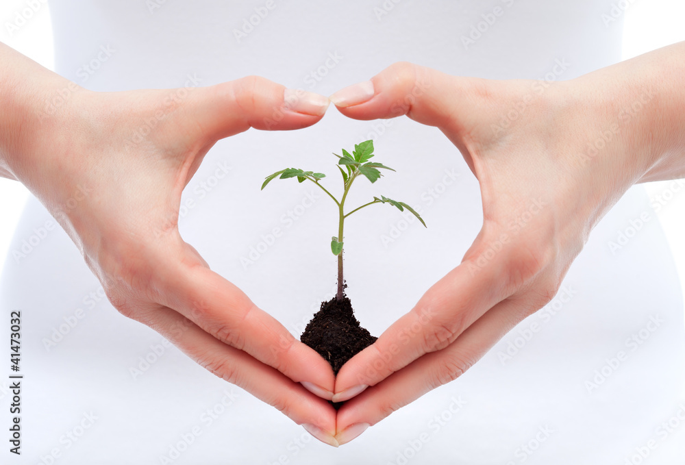 Environmental awareness and protection concept Environmental awareness and protection concept