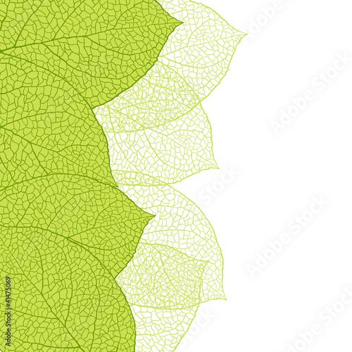 Fresh green leaves background - vector illustration