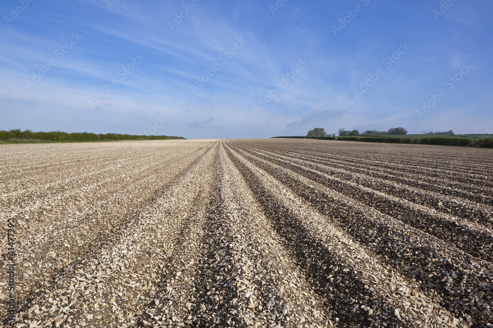 chalky arable landscape chalky arable landscape