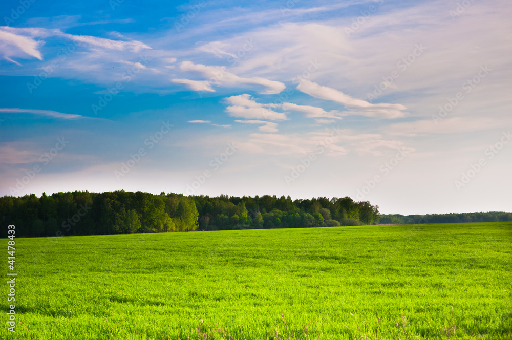 Obraz premium prairie landscape and sky