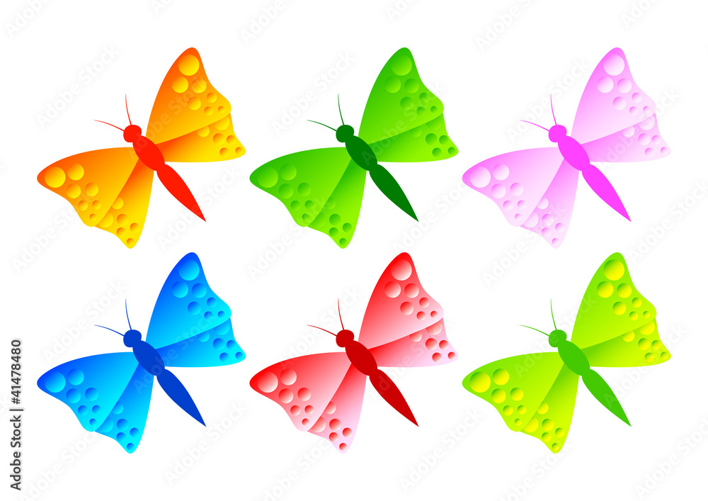 Colorful butterflies on white background