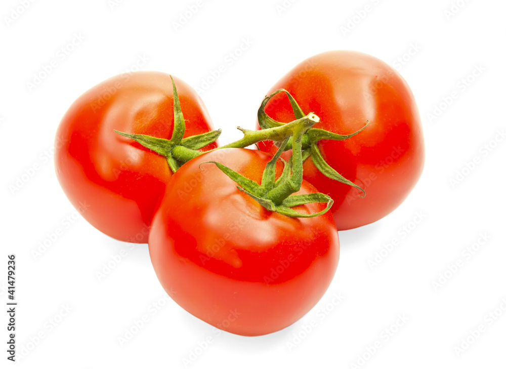 tomatoes tomatoes