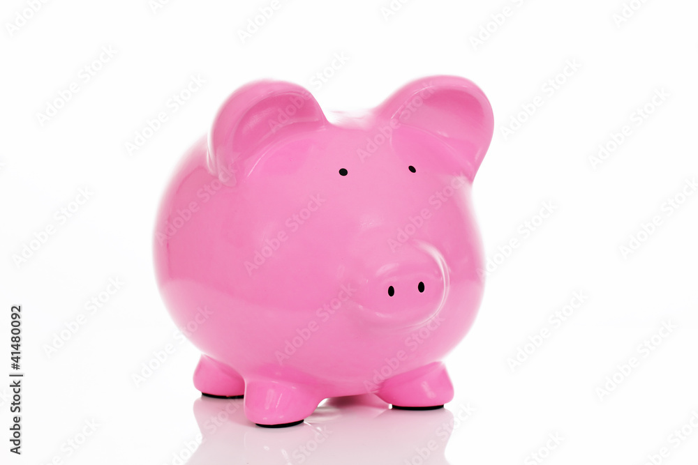 the big pink piggy bank the big pink piggy bank
