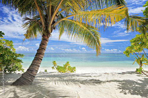 Fototapeta Naklejka Na Ścianę i Meble -  A scene of palm trees and sandy beach in Maldives island