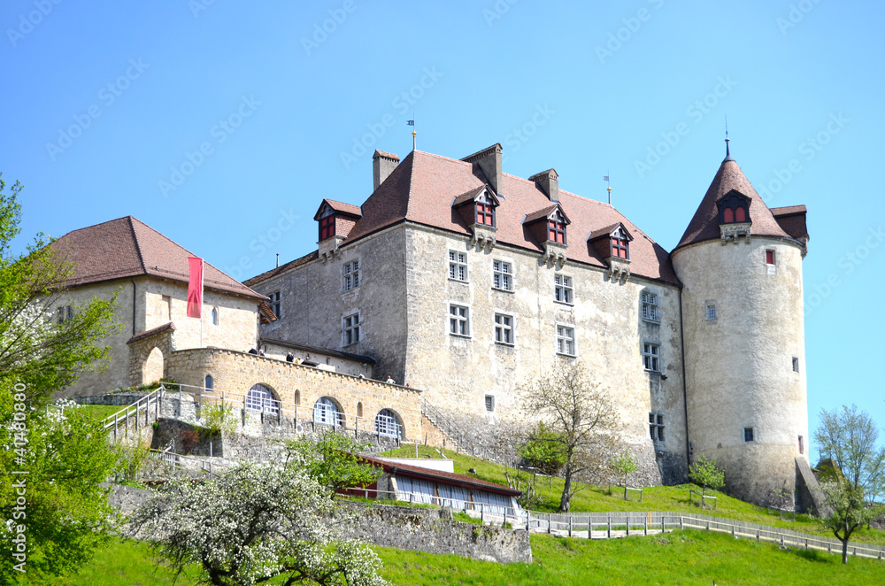 View on Gruyeres castle, Switzerland