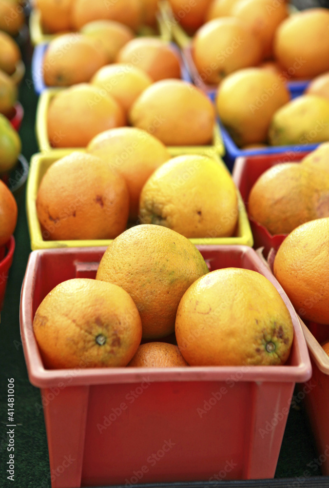 oranges in containers oranges in containers