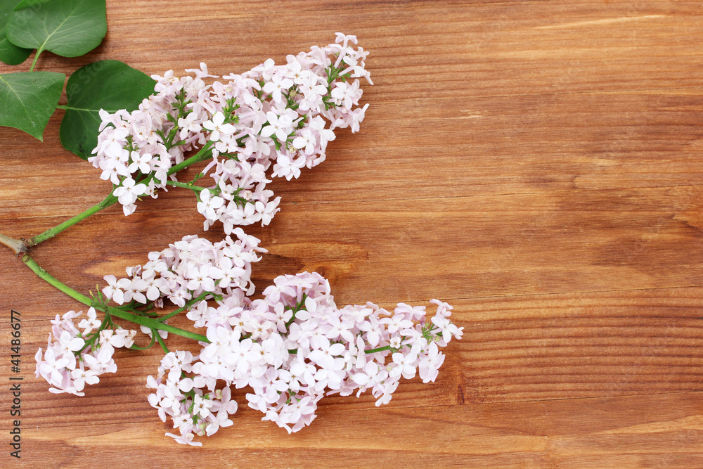 branch of pink lilac on wooden background close-up branch of pink lilac on wooden background close-up