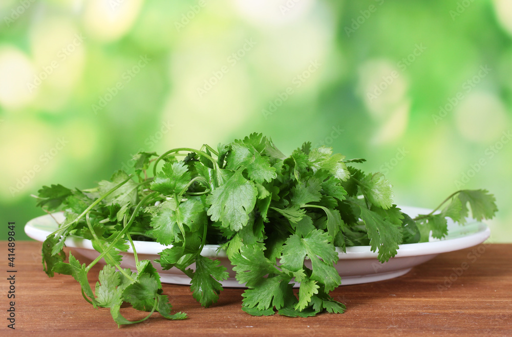 Coriander in a white plate on green background Coriander in a white plate on green background