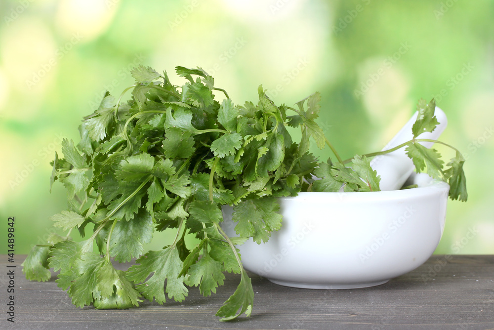 Coriander in a mortar and pestle on green background Coriander in a mortar and pestle on green background