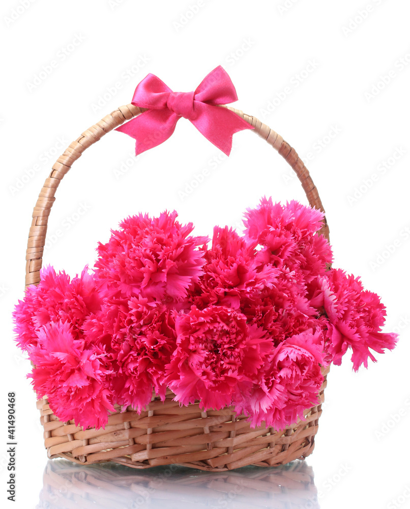 Beautiful pink carnations in basket isolated on white Beautiful pink carnations in basket isolated on white