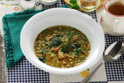 Minestra d'orzo all'ortica Barley soup with nettle