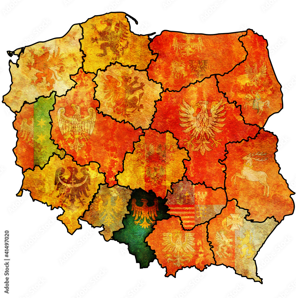 upper silesia region