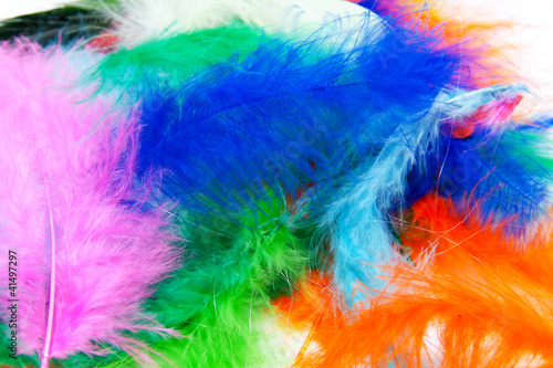 Background of colorful feathers