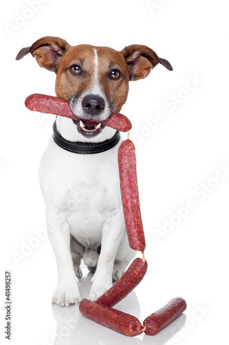 dog with sausages © Javier brosch