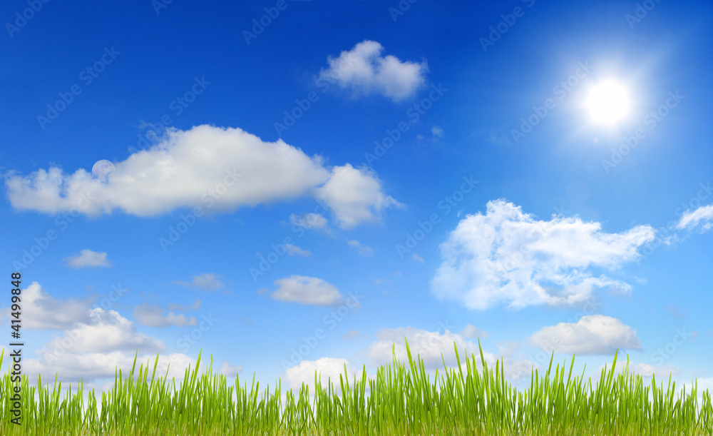Panorama of sky sun and grass