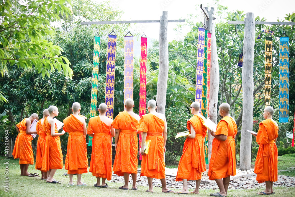Naklejka premium monk learning