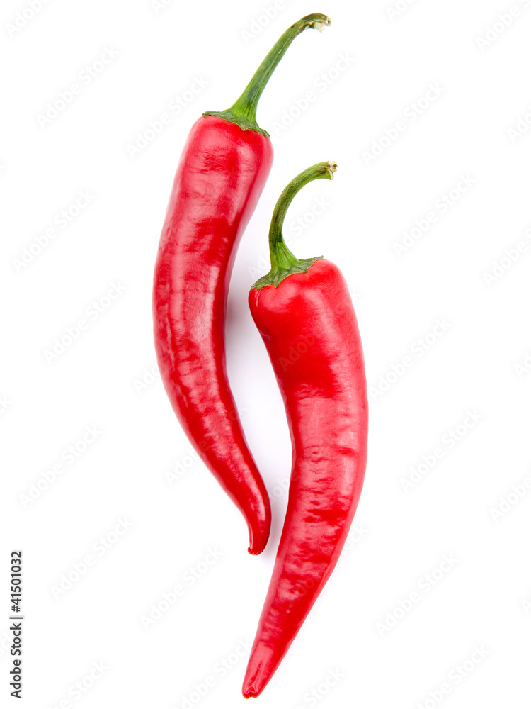 Two red chili peppers isolated on the white