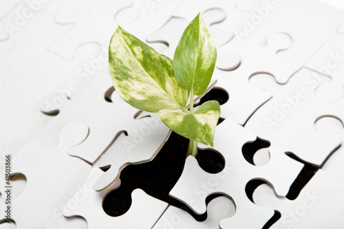 Green sprout from the earth makes its way through the puzzle.