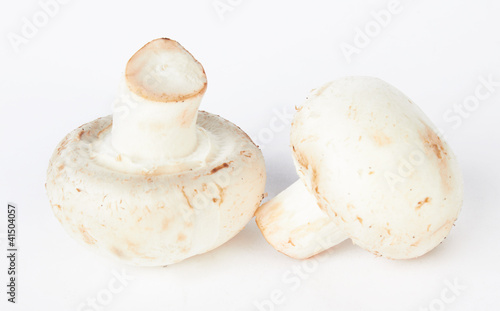 Foto mushroom