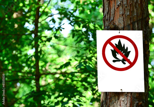 Photography Sign on tree in forest - Prohibited fire concept