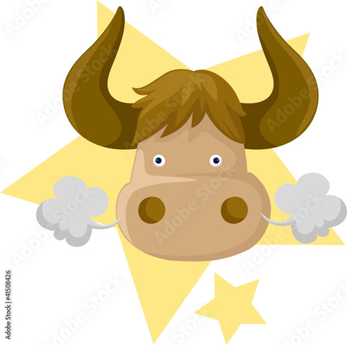 Taurus zodiac sign