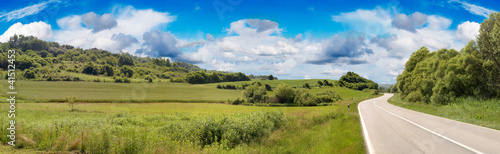 Country Road Panorama