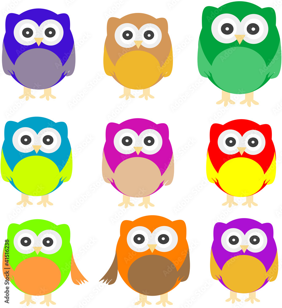 set of Owls isolated on white set of Owls isolated on white