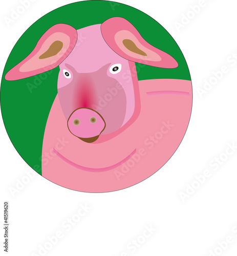 Schwein - cartoon