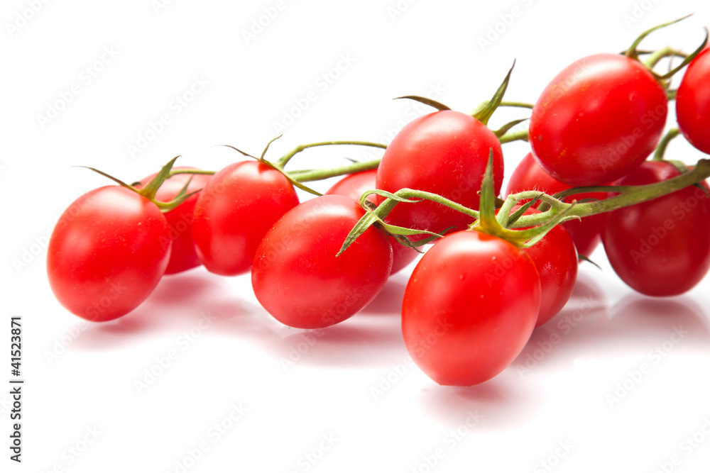 plum tomatoes on the vine plum tomatoes on the vine