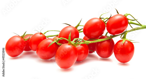 plum tomatoes on the vine