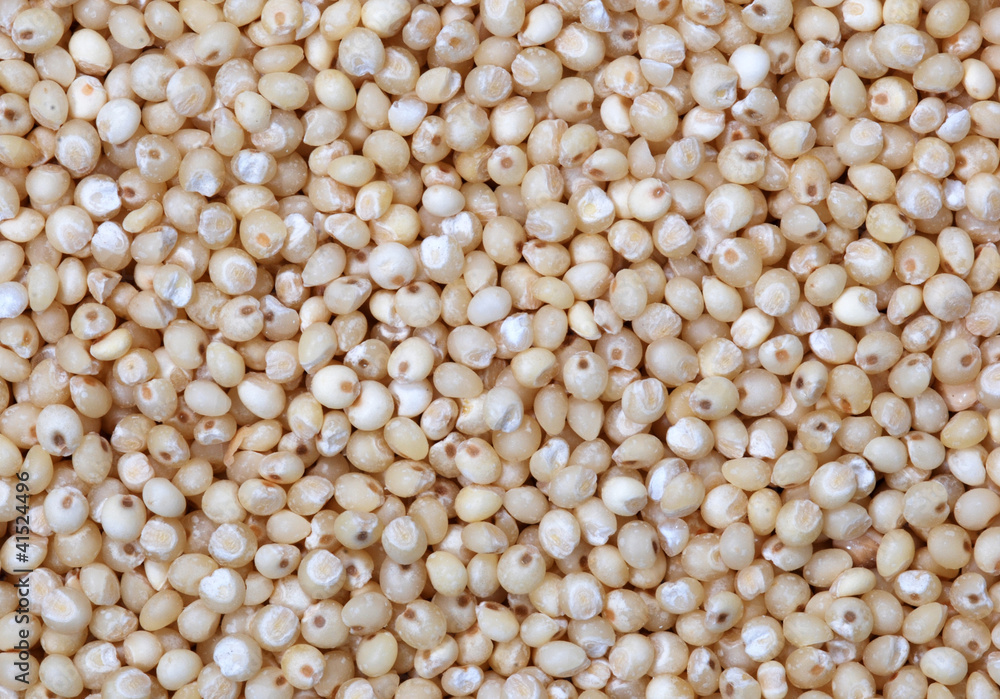 Millet Millet