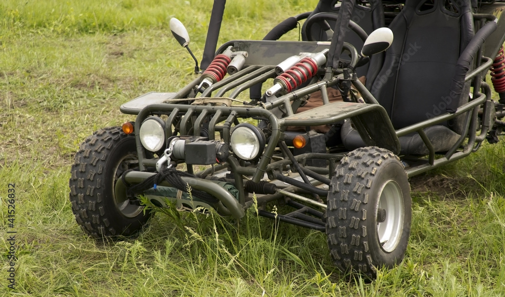 Obraz premium Bugs on a background of green grass
